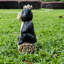 Animals Polyresin Garden Statue