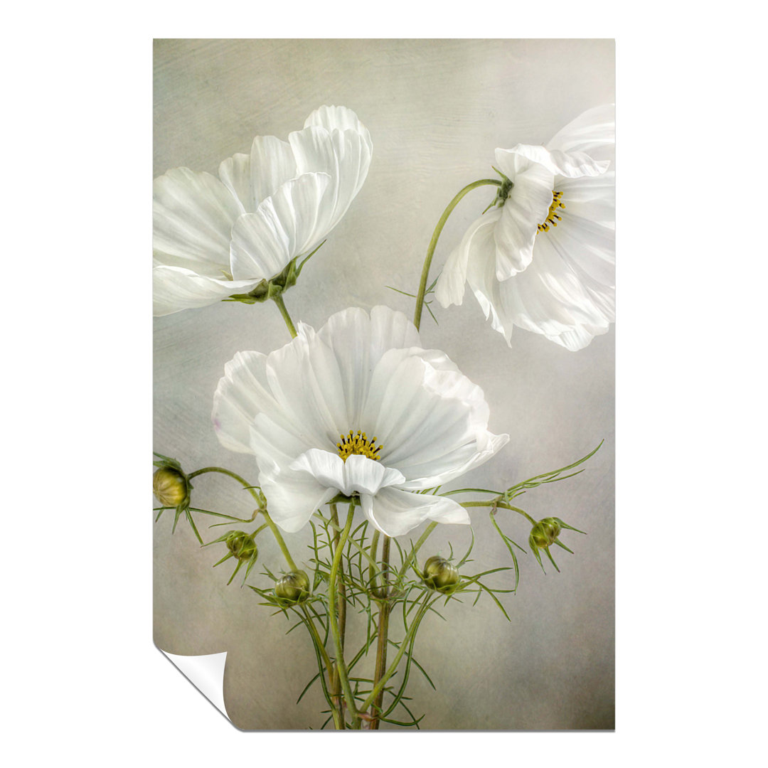 Rosalind Wheeler Fine Art Prints White Cosmos Flower Vintage Artistic Unframed Poster, Pictures For Home Walls, Bedroom, Living Room & Bathroom Decor