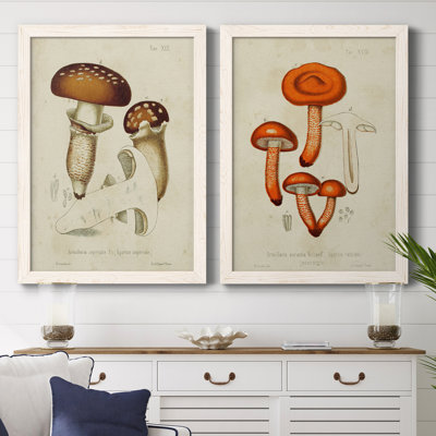 Toile encadrée de qualité supérieure Mushroom Variétés III - prête à être accrochée