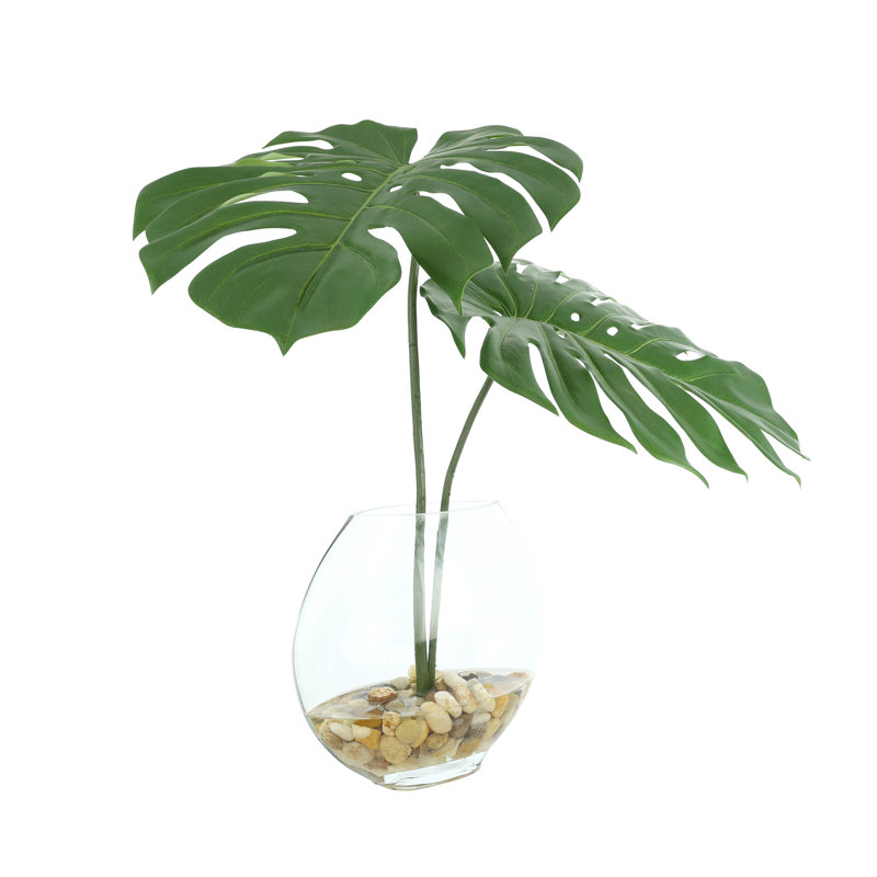 Split Philodendron Leaves In Glass Vase