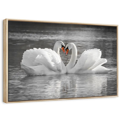 Couple de cygnes amoureux