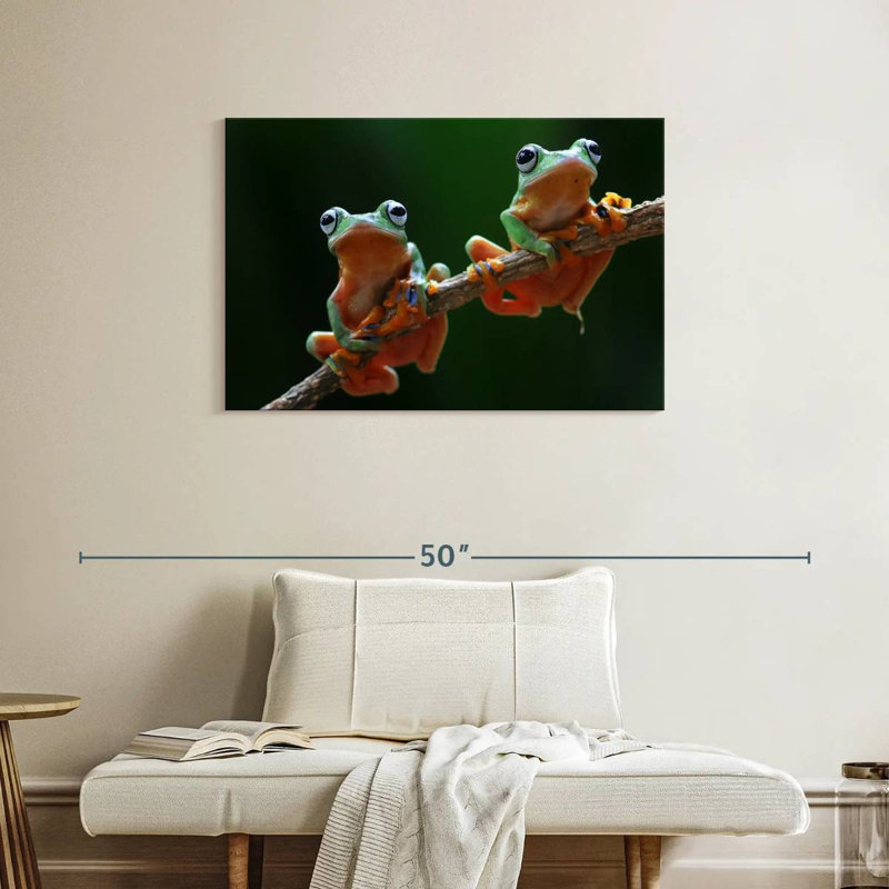 Deux grenouilles volantes de Wallace, H 24 po x l 36 po