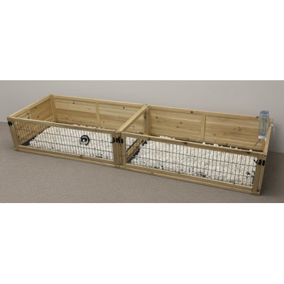 Habitat modulaire cochon d'Inde