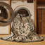 Machine Washable Tabriz Brown Area Rug-1191399194