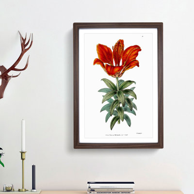 Blooming Red Lily - Picture Frame Graphic Art Print