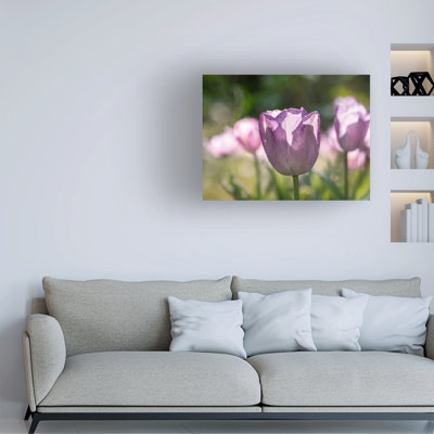 Suzanne Bonin Quite A Beauty Canvas Art