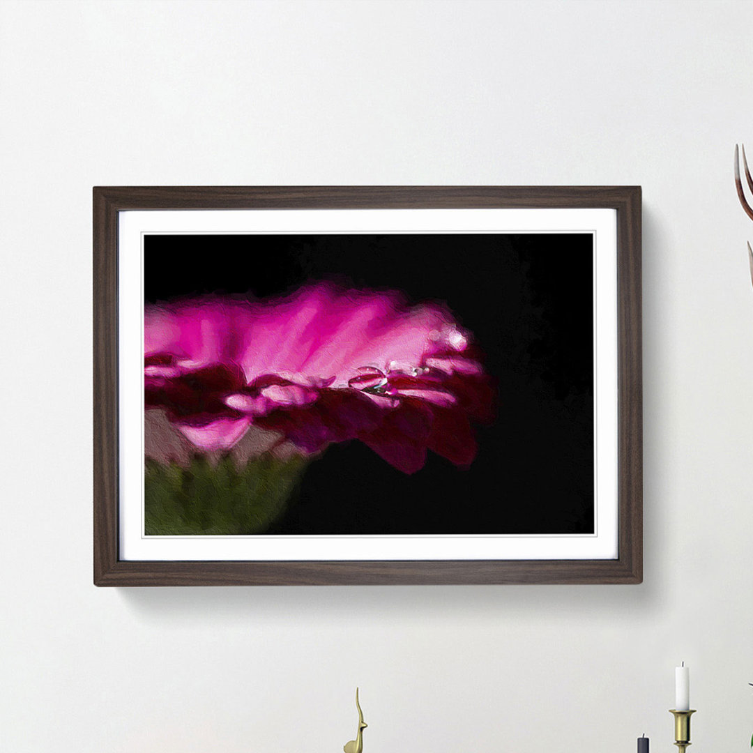 Pink Gerbera Flower - Picture Frame Painting Print