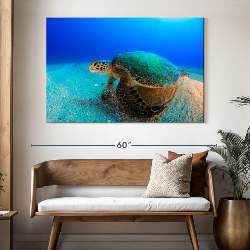 Brampt Resting Sea Turtle, 34" H x 51" W