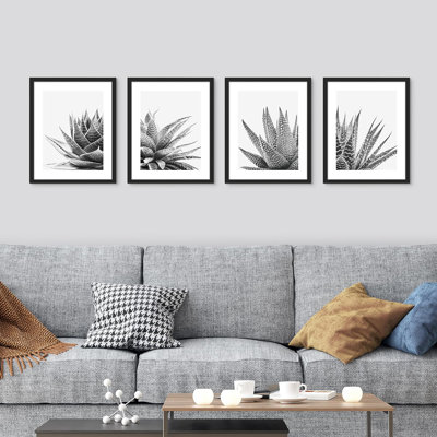 " Snake Plant Agave Cactus Succulent " 4 - Pieces