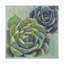 « plantes grasses i », reproduction de peinture à l’acrylique sur toile tendue-33413045