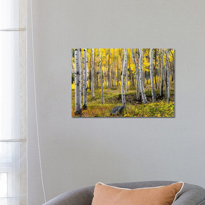 Golden Times - Rockies by Stefan Hefele - Wrapped Canvas Print
