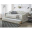 Birdwell Tufted Daybed with Trundle-649347880