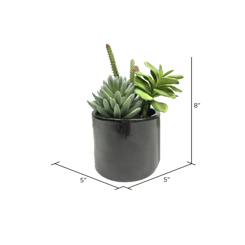 8'' Faux Succulent in Cement Pot