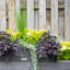 Mayne Horizon Outdoor Window Box Planter – Modern Slatted Panel Design – Weather-resistant Flower Box-1180623921