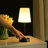 Metal Desk Lamp-490714024