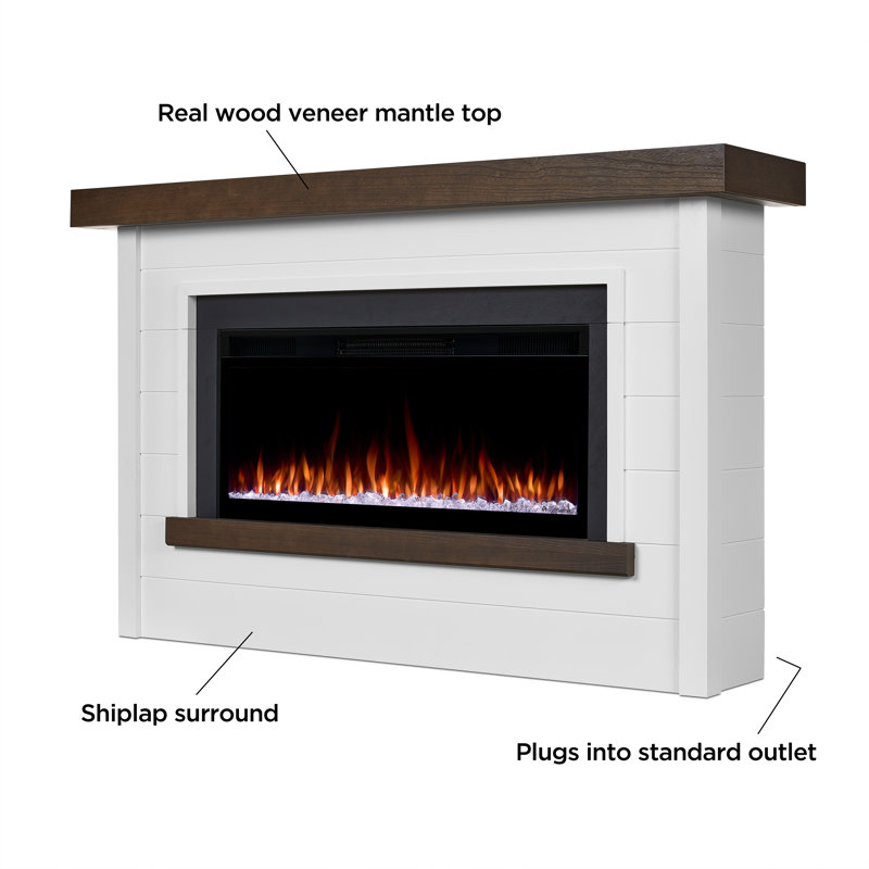 Bernice 65" Landscape Electric Fireplace by Real Flame