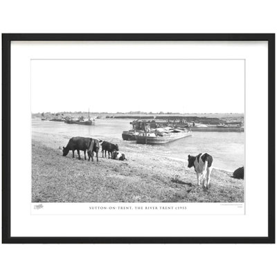 Sutton On Trent, The River Trent C1955 - Single Picture Frame Print
