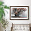 Magical Middle Earth - photographie avec cadre photo-1779993122-1779993124