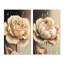 «Beige Blooming Rose», 2 pièces sur toile-406010843-406010847