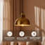 - Light Pendant-1656764680-1656764685