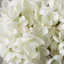 Arrangement floral d'hortensias dans un vase