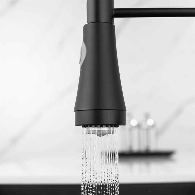 Pull Down Single Handle Kitchen Faucet
