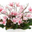 Papillon magnolia et feuilles dans un vase en céramique