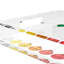 Acrylic Decorative Tray-998129721