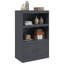 Alonah Steel Accent Cabinet-1141741050