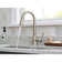 Adler Pull Down Single Handle Kitchen Faucet with Accessories