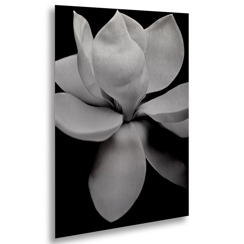 « magnolia », impression sur métal