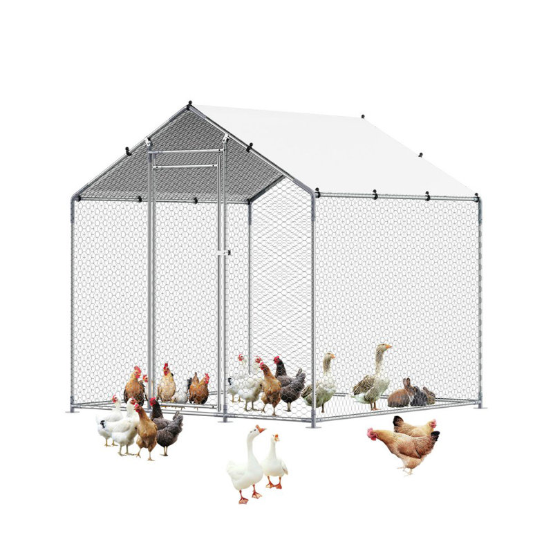 Poulailler en métal avec couvercle, H 78,72 po x l 78,72 po x P 78,72 po