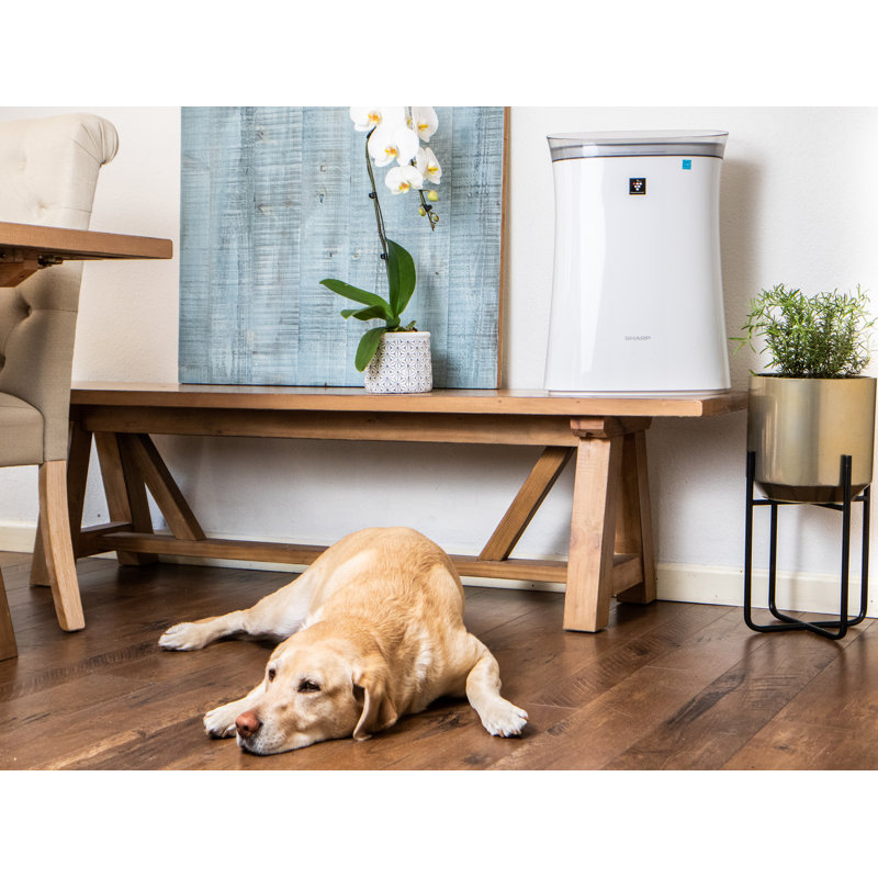 Purificateur d'air ionique Plasmacluster avec filtre HEPA véritable, Shark