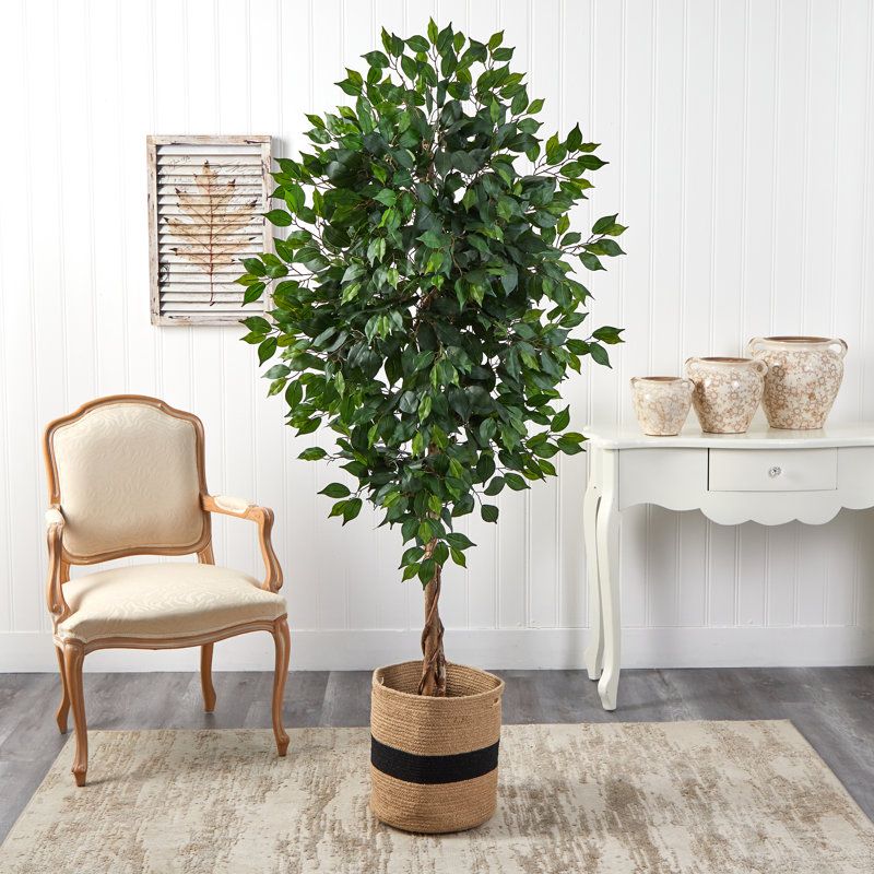 Ficus artificiel 72 po en pot