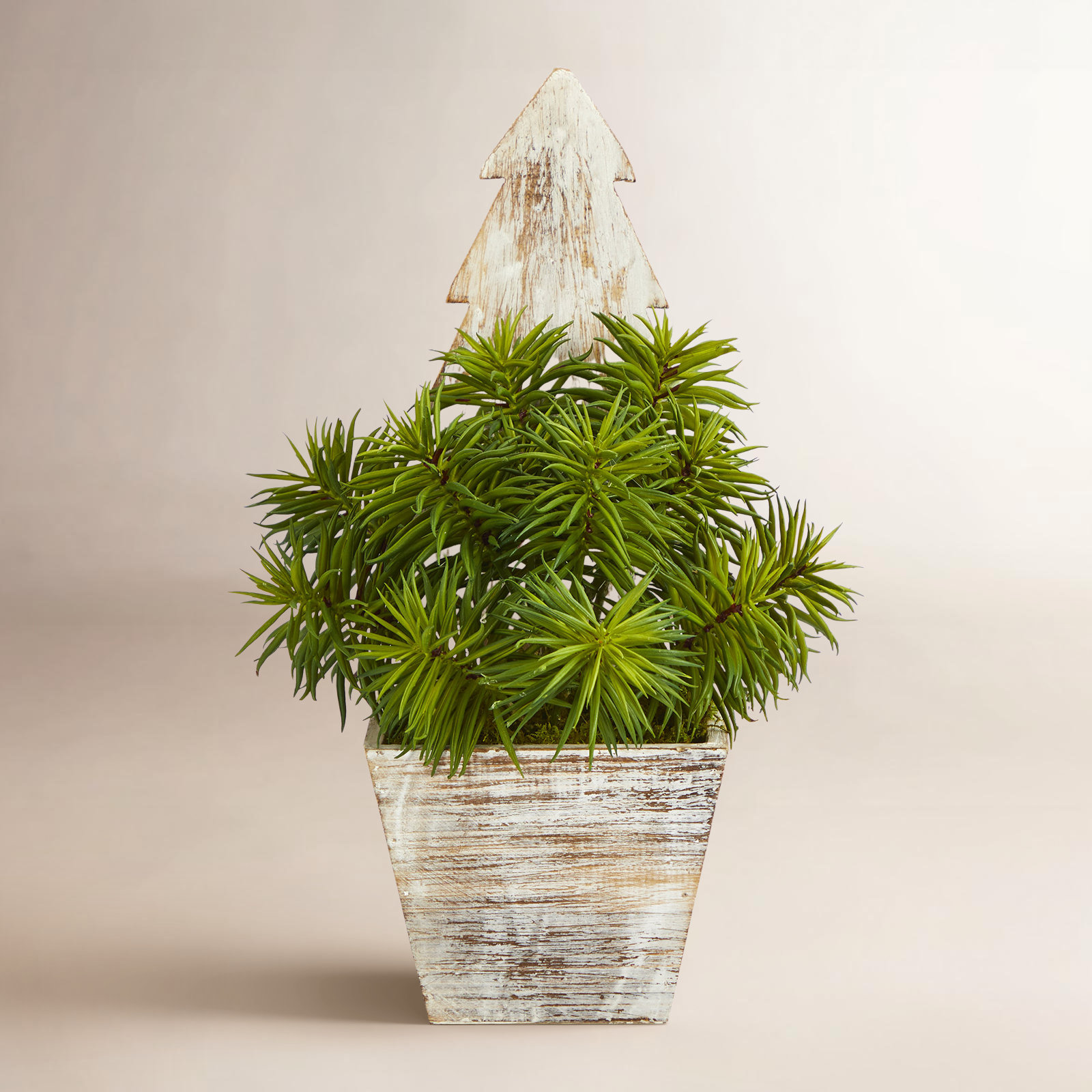 15'' Faux Succulent in Wood Planter