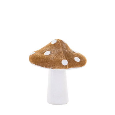 Blanc champignon velouté
