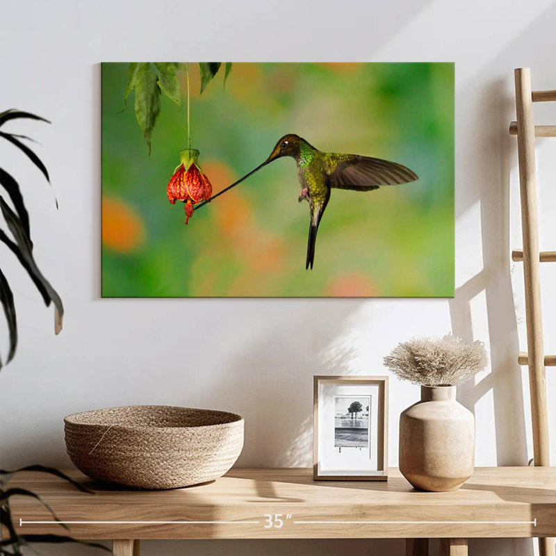 Colibri mangeant du nectar, H 16 po x l 24 po