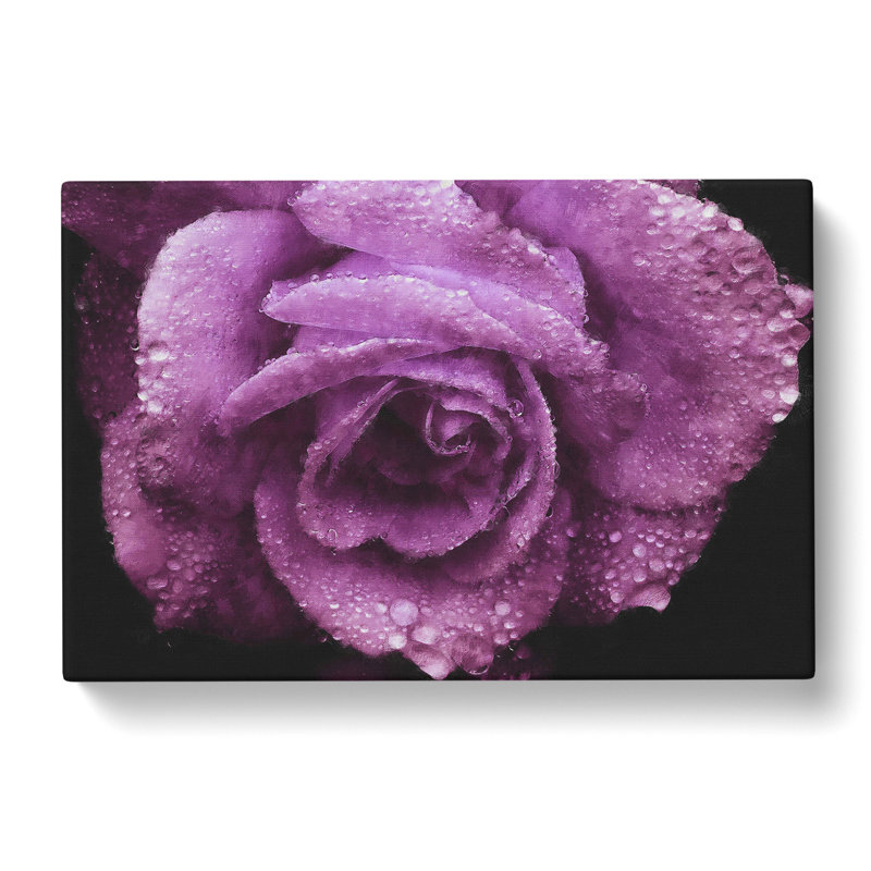 Purple Rose Flower Vol.1 - Wrapped Canvas, 35cm H x 50cm W x 3cm D