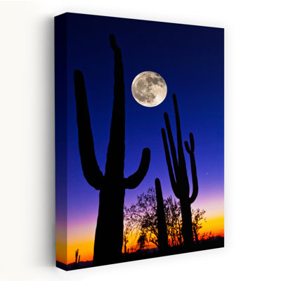 Moon Over Saguaro Cactus Carnegiea Gigantea Tucson Pima County Arizona Usa Abstract Contemporary Landscape Nature Art
