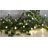 Pham Globe Electric String Lights-826335212