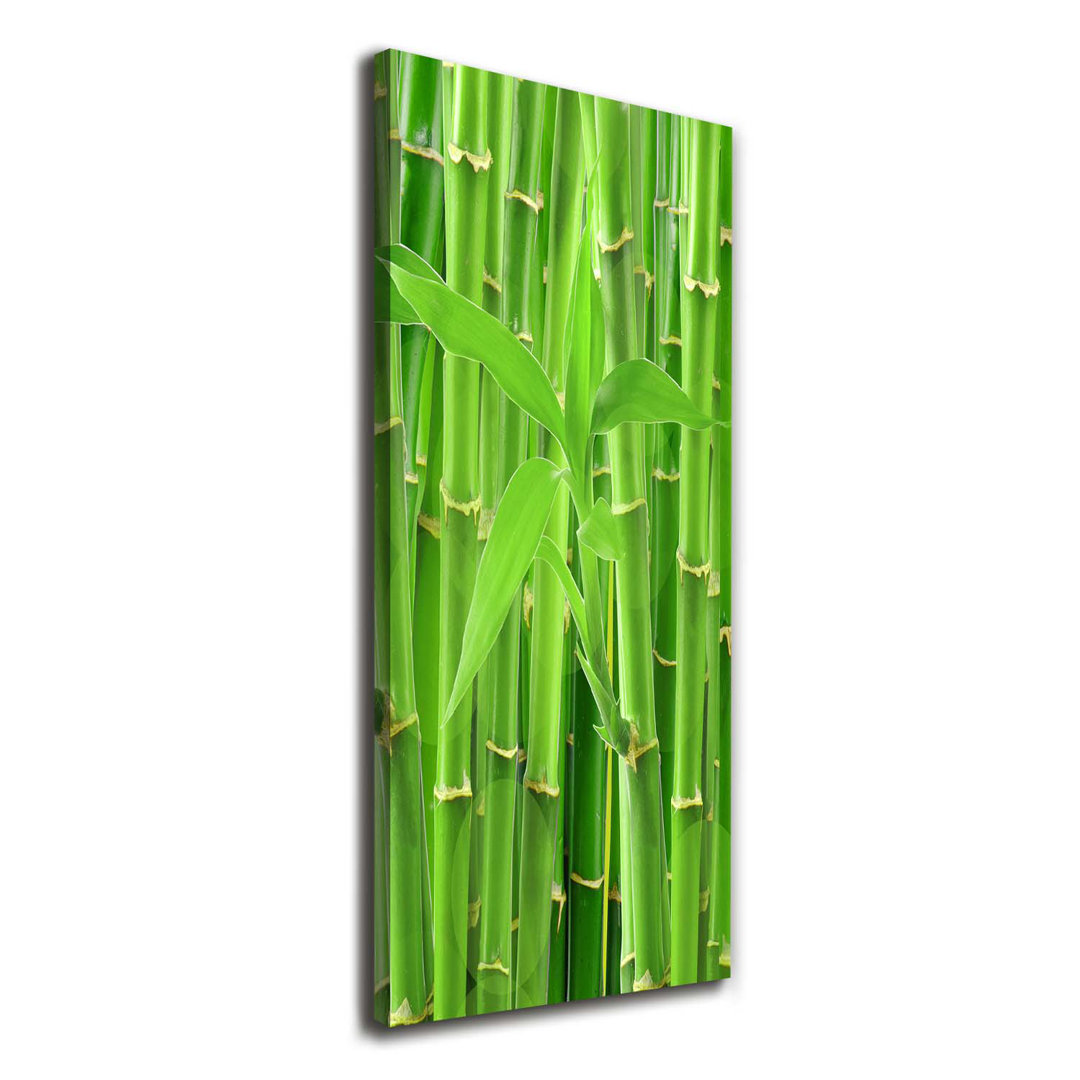 Bamboo Forest - Kunstdrucke auf Leinwand