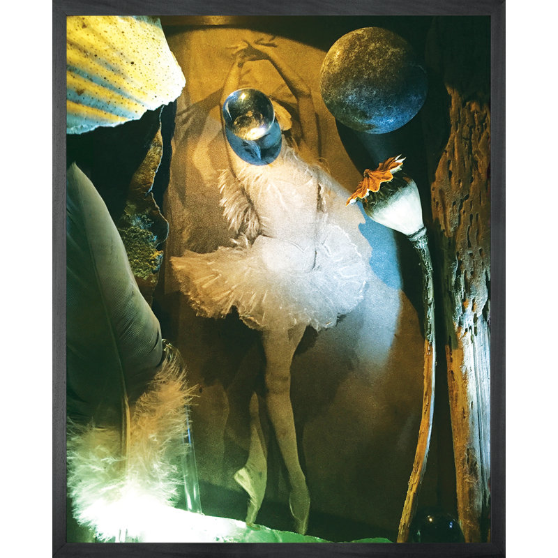 The Shadow - Single Picture Frame Print on Canvas