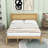 Citarelli Wood Platform Bed with Headboard-1948500528