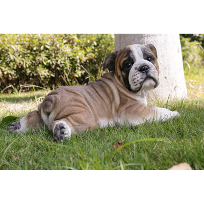 Chiot bouledogue couché