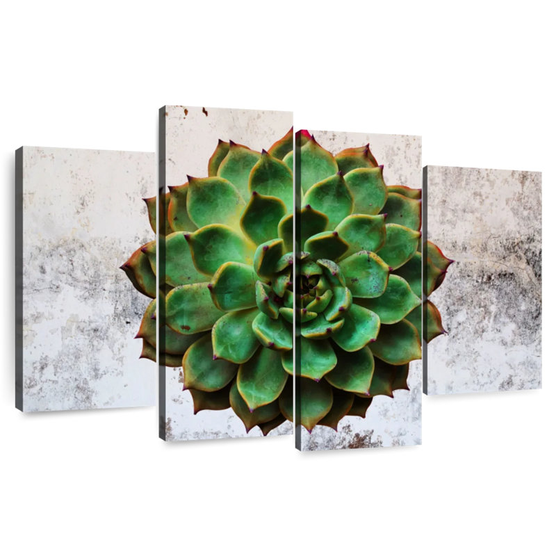 Harnek Grunge Succulent, 54'' H x 84'' W