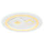 Gafna Acrylic LED Flush Mount
