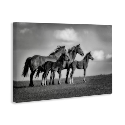 Toile «Babies On Board Horse Family», conception par Wendy Caro