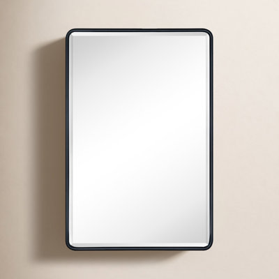 Bryand Surface Medicine Cabinet
