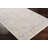 Jazive Oriental Indoor Rug-101278739