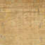 Wool Oriental Area Rug in Tan/Ivory